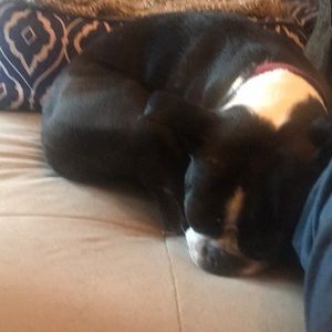 Meet your Posher, Grant